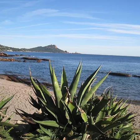 Eureka Yourhosthelper * Saint-Raphaël
